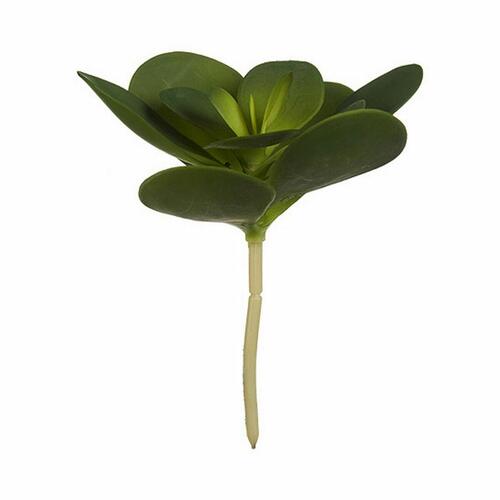 Dekorativ plante Ark Cirkulær Plastik 18 x 23 x 18 cm (6 enheder)