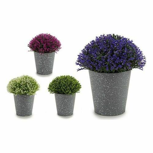 Dekorativ plante Plastik 14 x 15 x 14 cm (12 enheder)