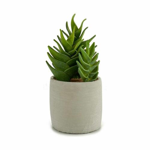 Dekorativ plante Sukkulent Plastik 12 x 24 x 12 cm (6 enheder)