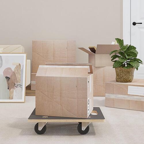 Møbelhunde 2 stk. 50x35x11,5 cm 250 kg rektangulær