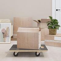Møbelhunde 2 stk. 60x40x11,5 cm 250 kg rektangulær
