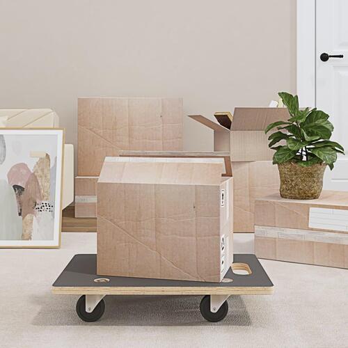 Møbelhunde 2 stk. 60x40x11,5 cm 250 kg rektangulær