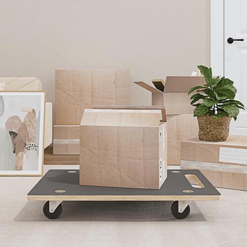 Møbelhunde 2 stk. 80x55x11,5 cm 250 kg rektangulær