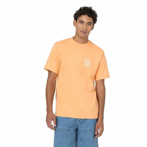Kortærmet T-shirt Dickies Creswell Orange Mænd M