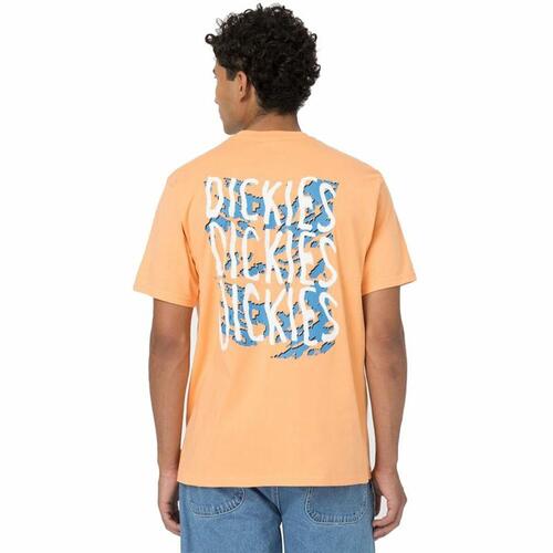 Kortærmet T-shirt Dickies Creswell Orange Mænd M