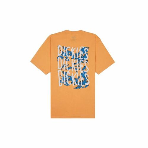 Kortærmet T-shirt Dickies Creswell Orange Mænd S