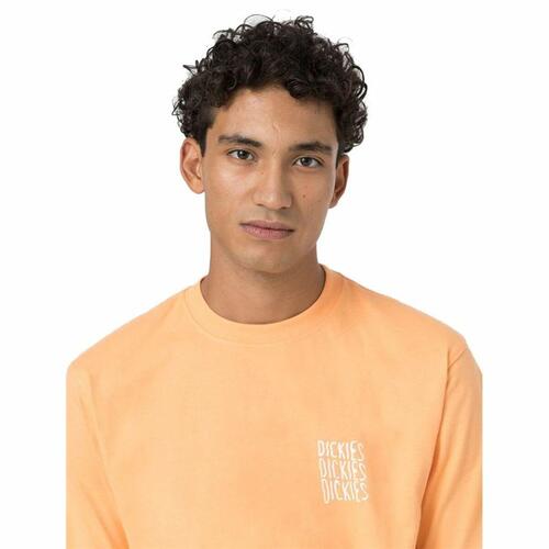 Kortærmet T-shirt Dickies Creswell Orange Mænd L