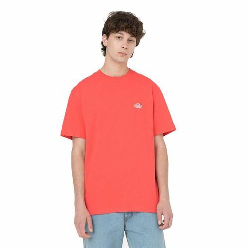 Kortærmet T-shirt Dickies Summerdale Koral Mænd XL