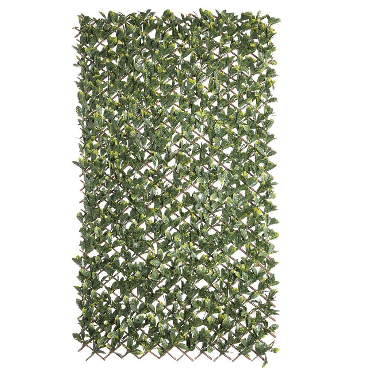 Gitter Natural Laurel flet Bambus 2 x 200 x 100 cm