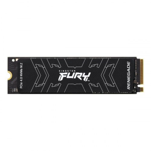 Kingston FURY Renegade 1 TB SSD (intern M.2 NVMe)