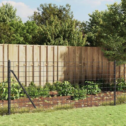 Trådhegn 1x25 m galvaniseret stål antracitgrå