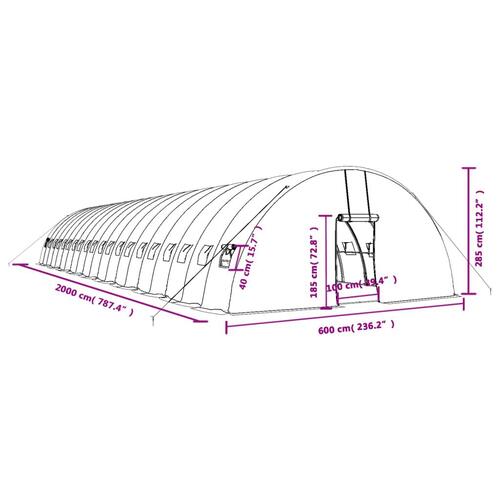 Drivhus med stålstel 120 m² 20x6x2,85 m hvid