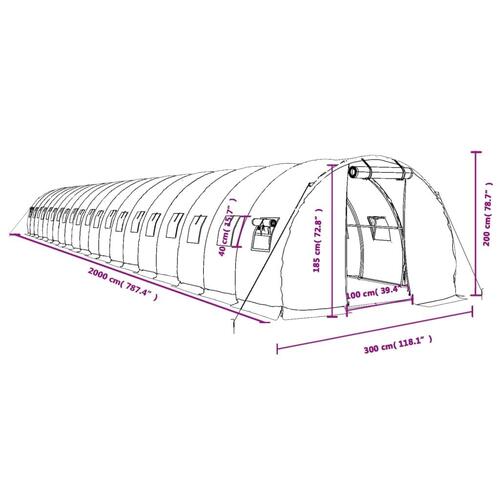 Drivhus med stålstel 60 m² 20x3x2 m hvid