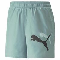 Sport shorts til mænd Puma Ess+ Logo Power Cat For All Time Akvamarin Blå Grøn 2XL