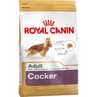 Foder Royal Canin Cocker Adult 12 kg Voksen Majs Fugle