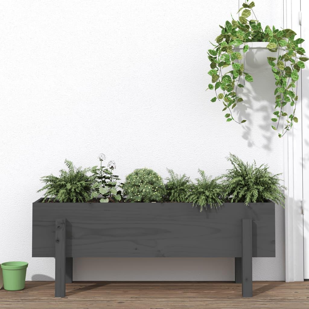 Højbed 101x30x38 cm massivt fyrretræ grå