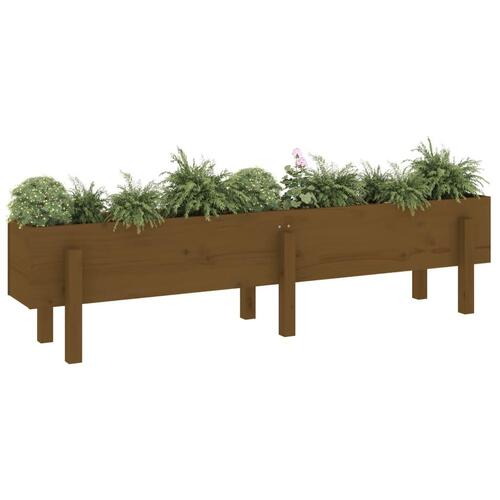 Højbed 160x30x38 cm massivt fyrretræ gyldenbrun