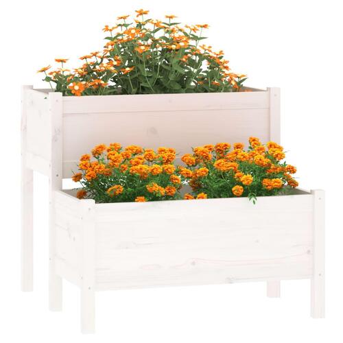 Plantekasse 84,5x84x75 cm massivt fyrretræ hvid