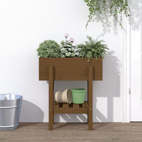 Plantekasse 62x30x69 cm massivt fyrretræ gyldenbrun