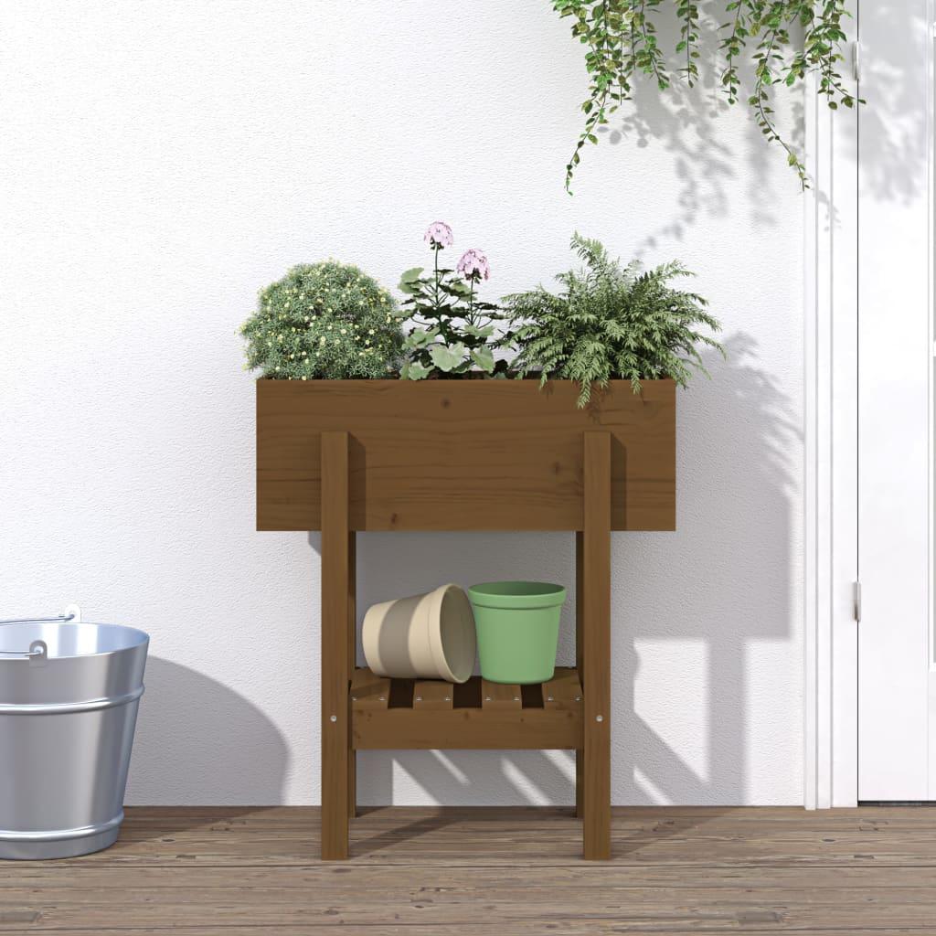 Plantekasse 62x30x69 cm massivt fyrretræ gyldenbrun