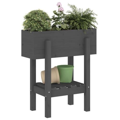 Plantekasse 62x30x69 cm massivt fyrretræ grå