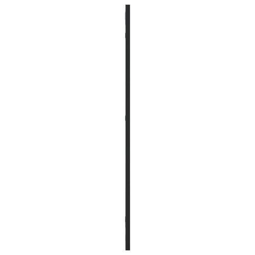 Vægspejl 30x80 cm rektangulært jern sort
