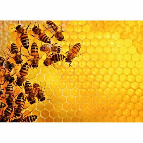 Puslespil Ravensburger Challenge 17362 Beehive 1000 Dele