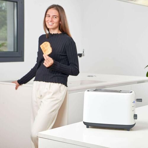 Brødrister Black & Decker BXTOA820E 820 W
