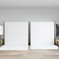 Stativ til fotobaggrund 2 stk. 305x243 cm stål sort