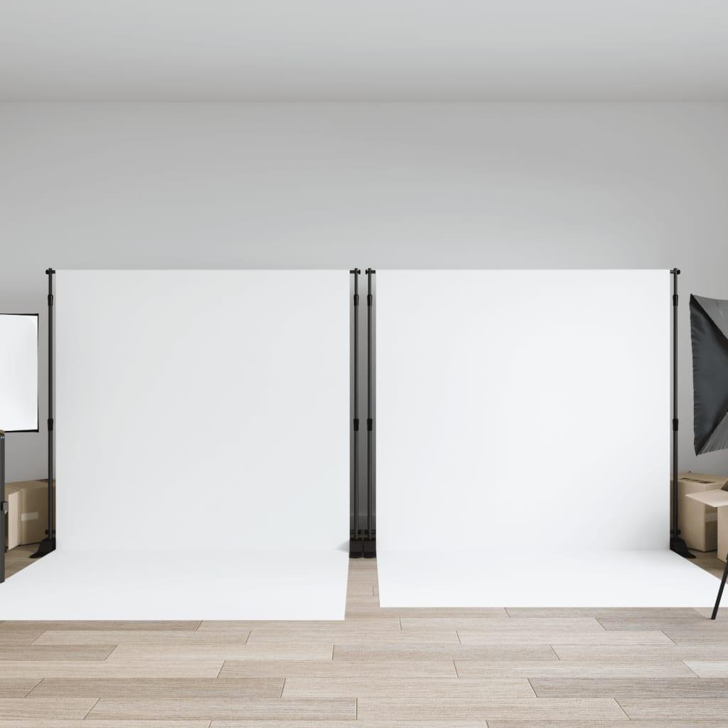 Stativ til fotobaggrund 2 stk. 305x243 cm stål sort