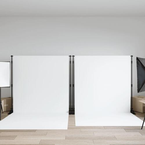 Stativer til fotobaggrund 2 stk. 254x243 cm stål sort
