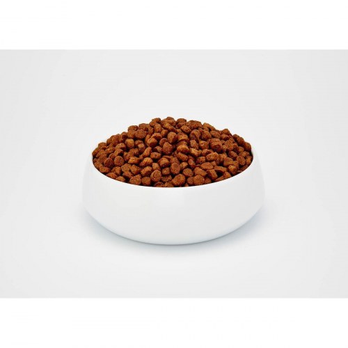 BOSCH Adult kattemad - kylling/fjerkræ, 10 kg, glutenfri