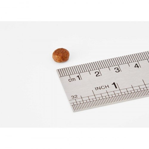 BOSCH Adult kattemad - kylling/fjerkræ, 10 kg, glutenfri