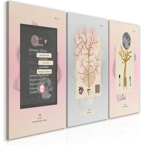 Billede - Unusual Plants (3 Parts) 120 x 60 cm