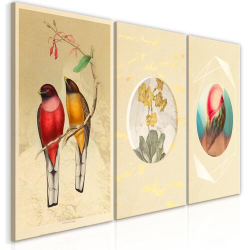 Billede - Forms in Nature (3 Parts) 120 x 60 cm