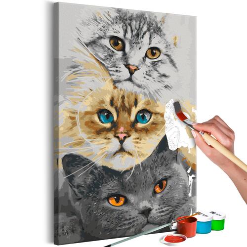 Mal selv billede - Cat's Trio 40 x 60 cm
