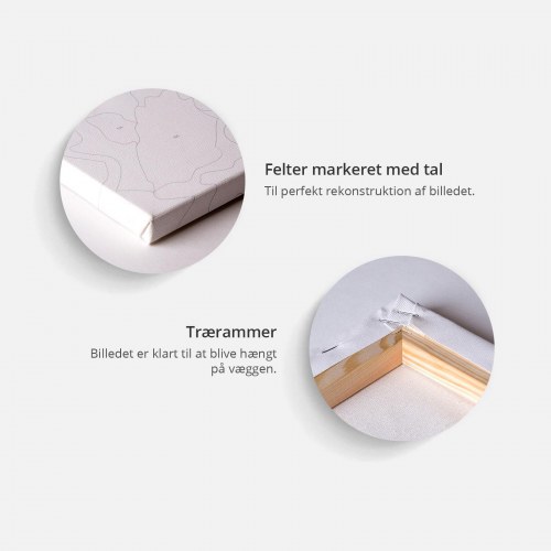 Mal selv billede - Colourful Rings 60 x 40 cm