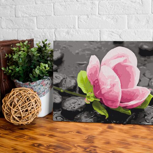 Mal selv billede - Pink Flower and Stones 60 x 40 cm