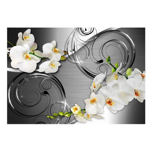 Fototapet - Expectation