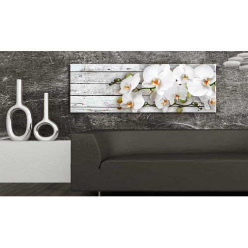 Billede - White Dreams