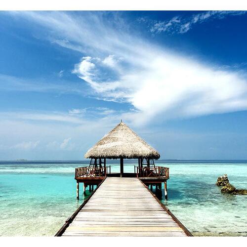 Fototapet - Holiday adventure