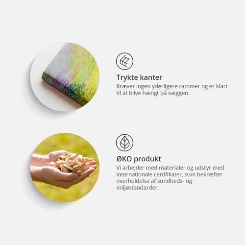 Billede på kork - Amber World