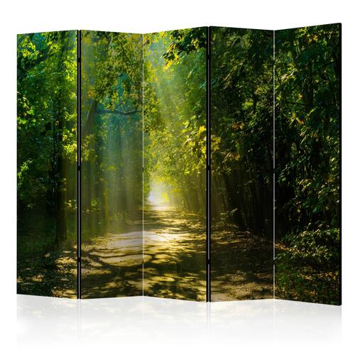 Skærmvæg - Road in Sunlight II