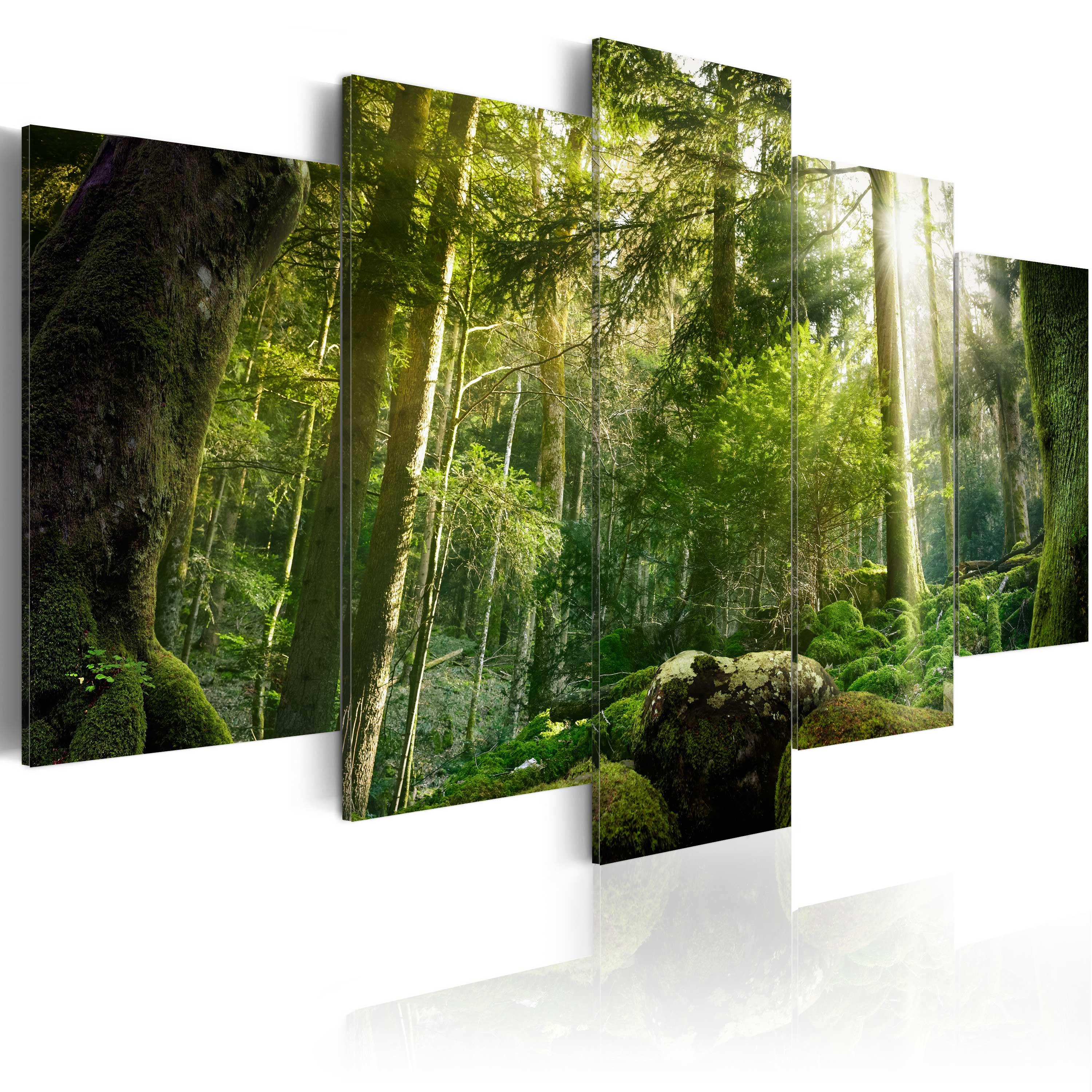 Billede -  The Beauty of the Forest - 225 x 112.5 cm - Premium Print