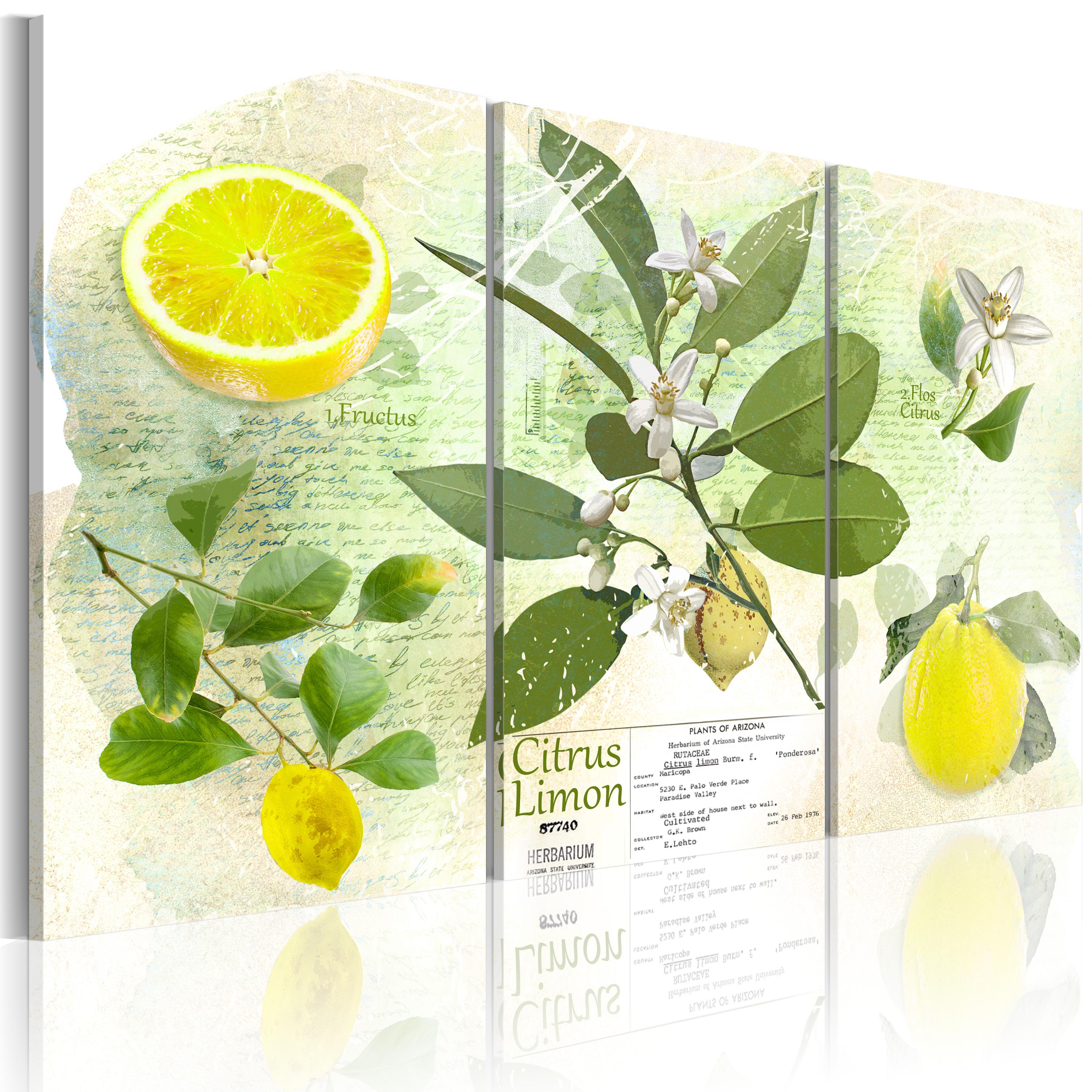 Billede - Fruit: lemon