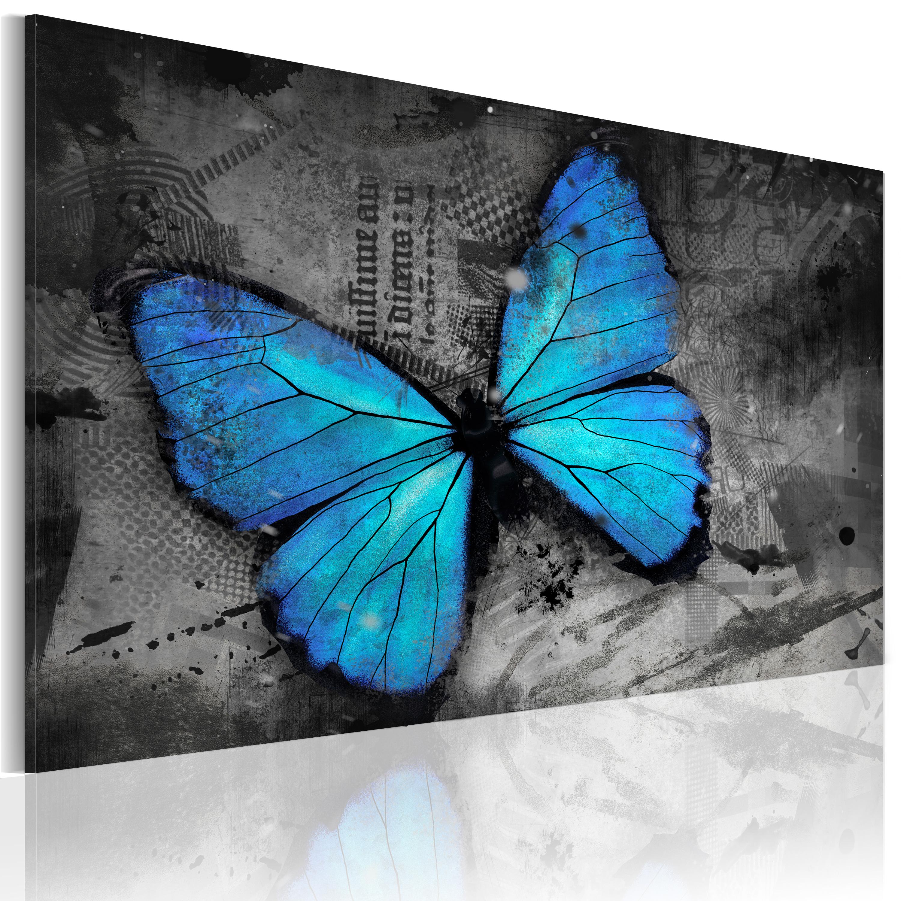Billede - The study of butterfly - 60 x 40 cm - Premium Print