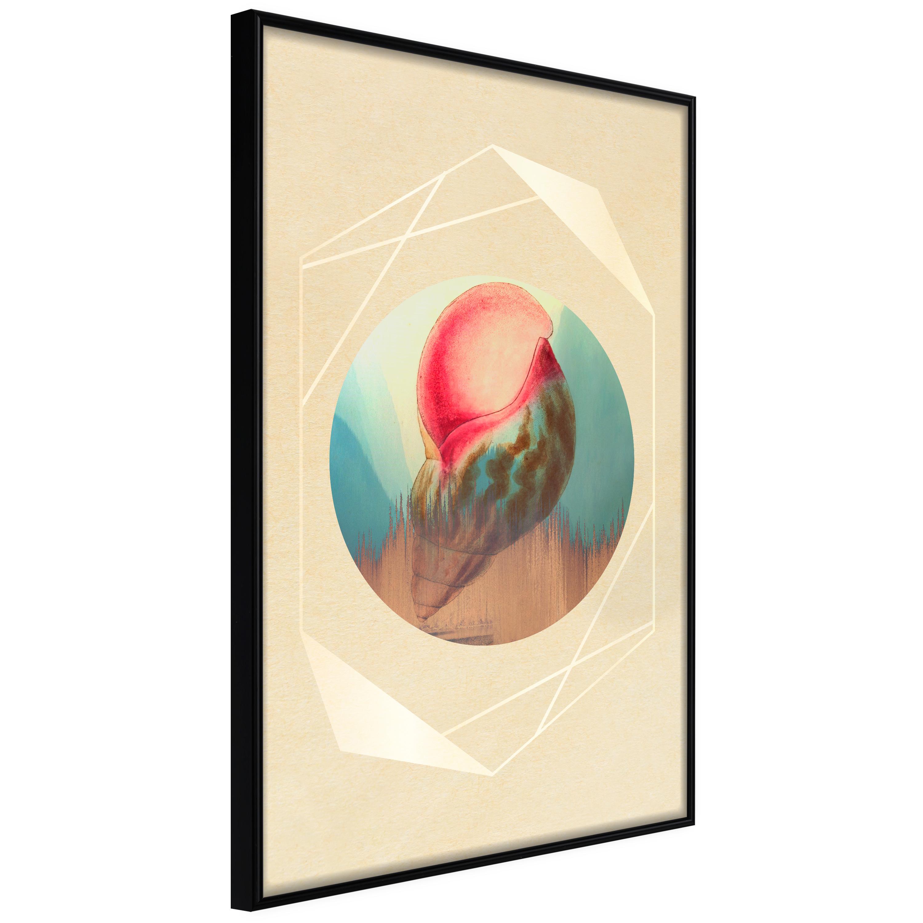 Plakat - Seashell - 40 x 60 cm - Sort ramme