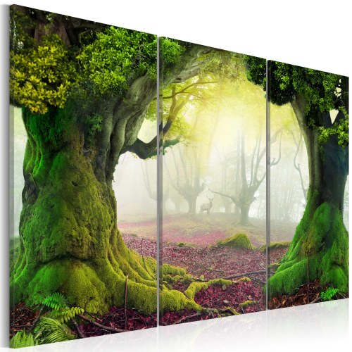 Billede - Mysterious forest - triptych