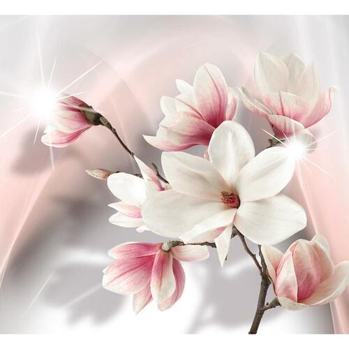 Fototapet - White magnolias