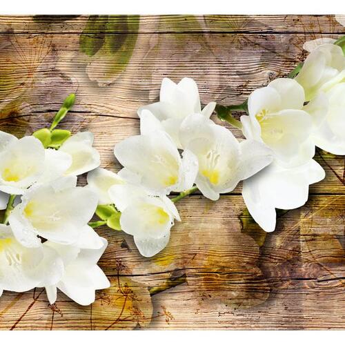 Fototapet - Freesia on Wood